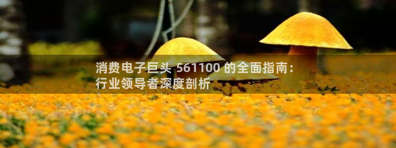 凯发k8旗舰厅app下载|消费电子巨头 561100 的全面指南:
行业领导者深度剖析